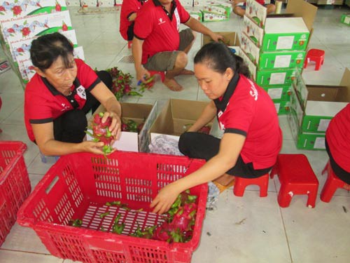 Tăng trưởng kinh tế 7,6%, c&aacute;ch n&agrave;o? - Ảnh 1.