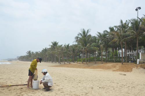 Bãi biển miền Trung bị "xẻ thịt": Đường của dân thành của resort