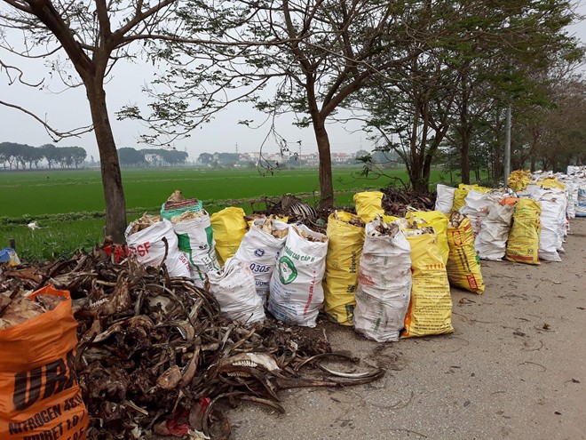 Hãi với con đường xương cốt trâu, bò ở Hà Nội