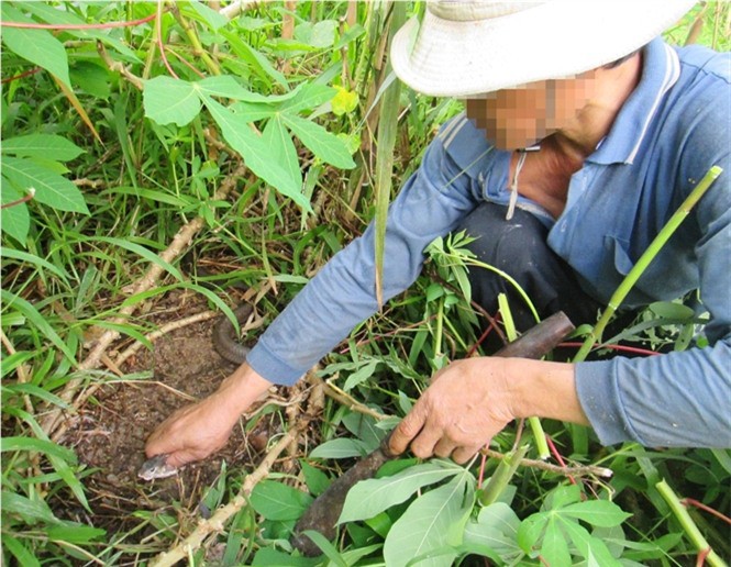 Gai người theo chân cao thủ săn rắn nổi tiếng miền Tây - Ảnh 3.