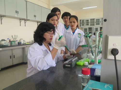 Tỏa sáng bóng hồng Kovalevskaia