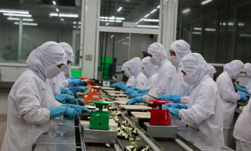 TP HCM có mức lương trung bình cao nhất cả nước