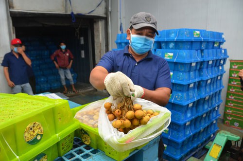 CPTPP vẫn "nặng ký"