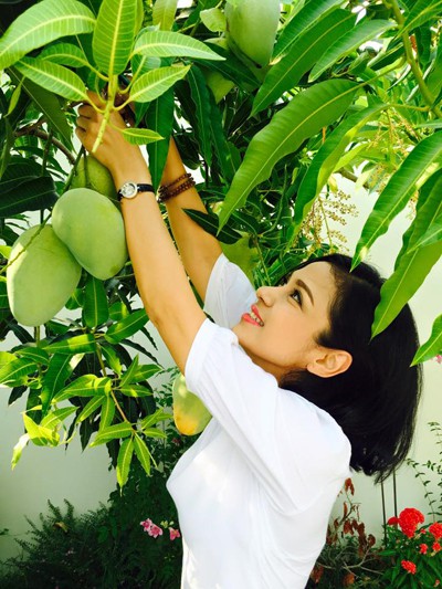 M&ecirc; mẩn vườn nh&agrave; ngập tr&aacute;i c&acirc;y của người đẹp T&acirc;y Đ&ocirc; - Ảnh 15.