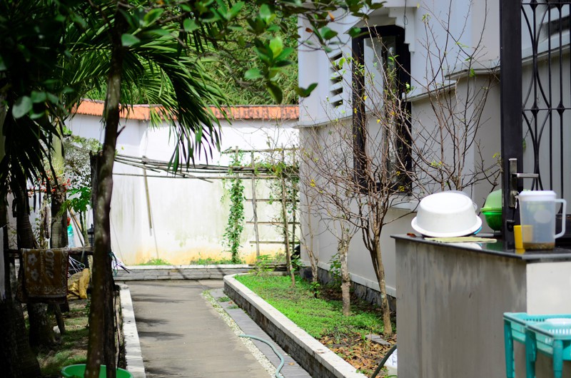 M&ecirc; mẩn vườn nh&agrave; ngập tr&aacute;i c&acirc;y của người đẹp T&acirc;y Đ&ocirc; - Ảnh 5.