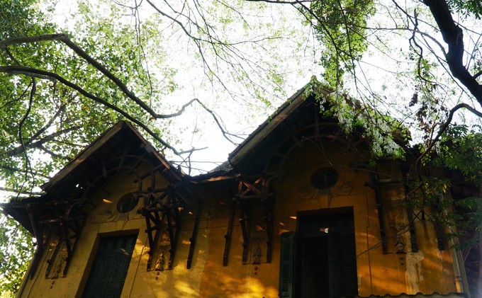 M&ugrave;a hoa sưa nở trắng trời H&agrave; Nội - Ảnh 3.