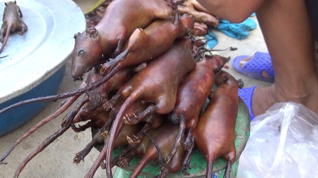 4 m&oacute;n ăn tr&ocirc;ng th&igrave; &ldquo;gh&ecirc;&rdquo; nhưng ngon trứ danh ở Việt Nam - Ảnh 6.