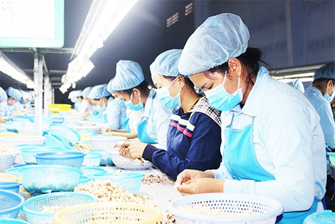 Khánh Hòa: 500 công nhân được làm việc trở lại