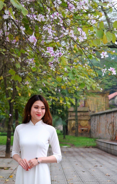 “Điểm danh” những mùa hoa tháng 3 đẹp mê hồn - Ảnh 15.