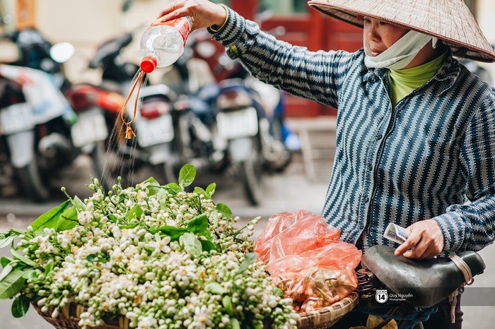 “Điểm danh” những mùa hoa tháng 3 đẹp mê hồn - Ảnh 23.