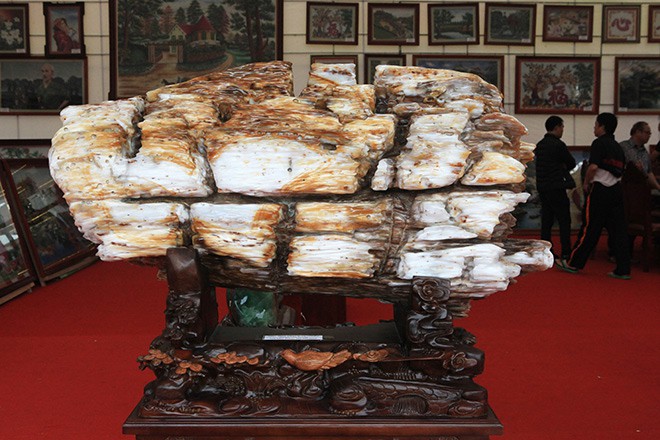 Gỗ hóa thạch kì dị xuất hiện ở Bắc Ninh
