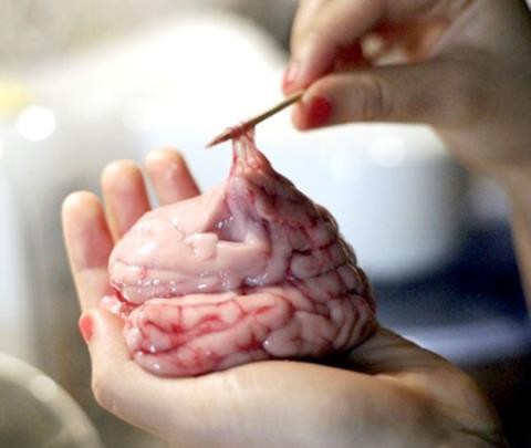 C&acirc;n nhắc kỹ trước khi ăn bộ phận n&agrave;y của lợn - Ảnh 1.
