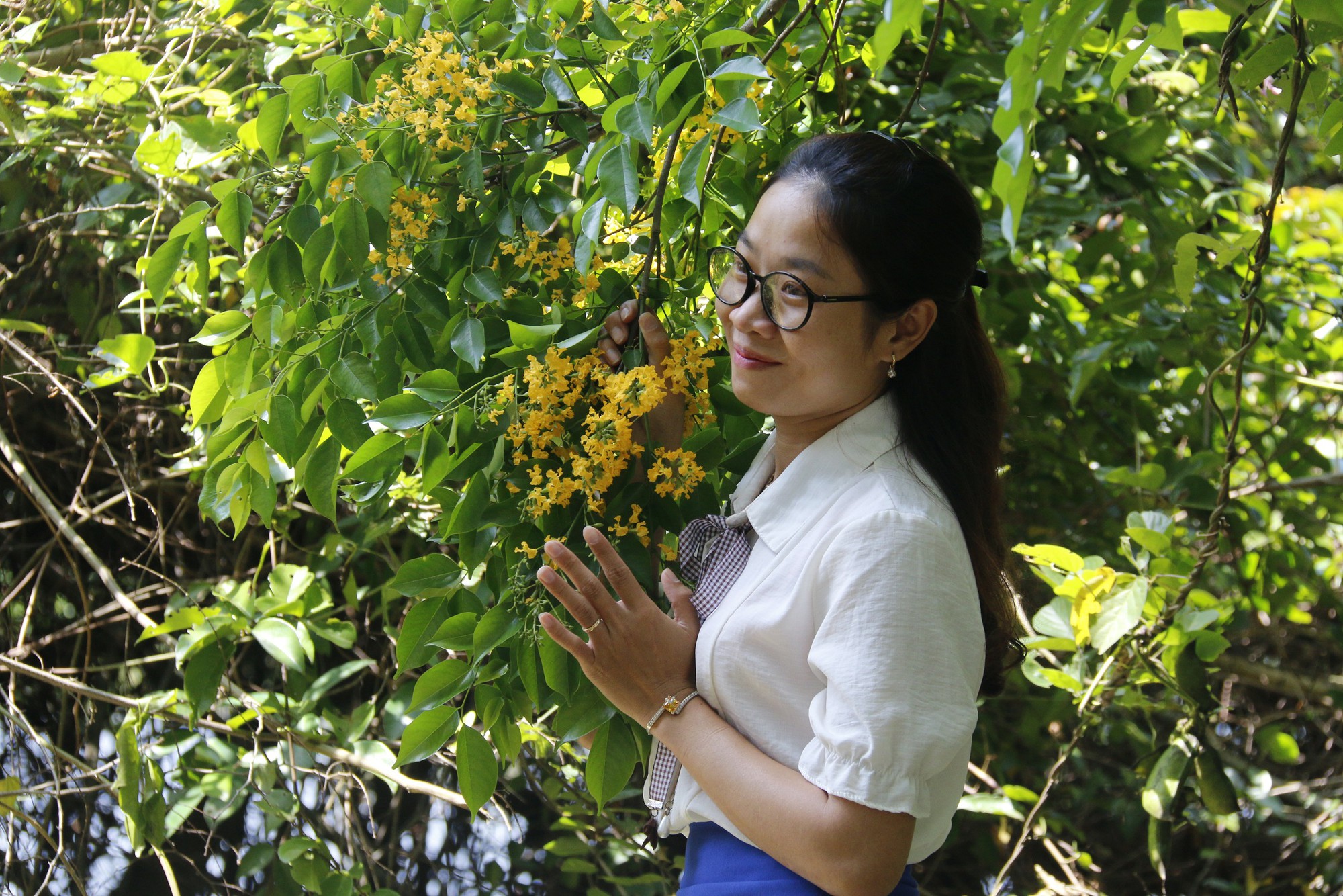 Sắc sưa nhuộm vàng Tam Kỳ - Ảnh 20.
