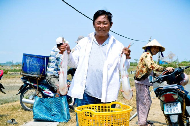Nuôi cá dứa không lo đầu ra