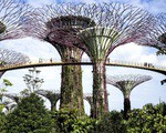 8 khu phố nên khám phá ở Singapore