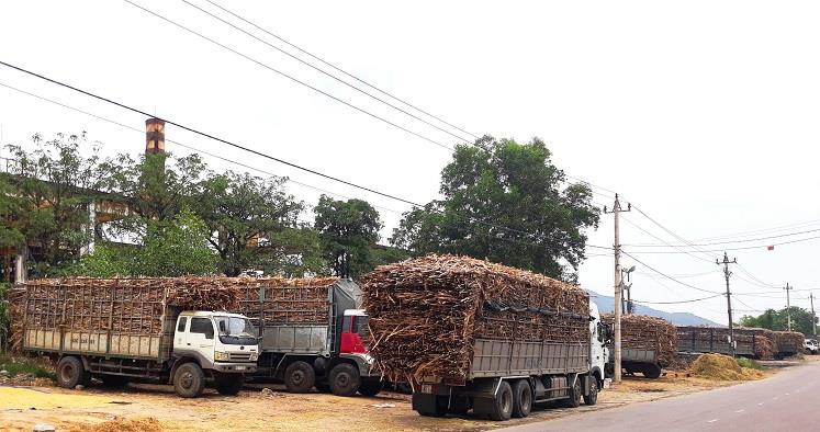 Ni&ecirc;m phong nh&agrave; m&aacute;y đường g&acirc;y &ocirc; nhiễm m&ocirc;i trường - Ảnh 2.