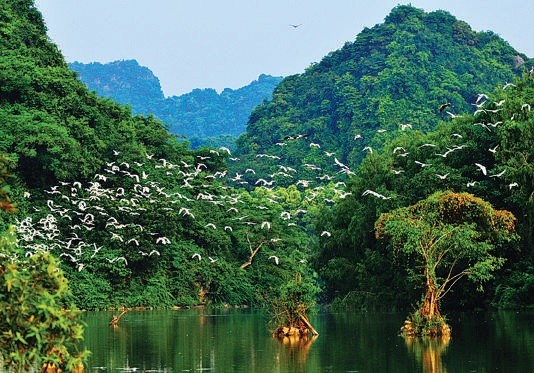 Du lịch Ninh B&igrave;nh nhất định bạn phải đến 5 điểm n&agrave;y - Ảnh 35.