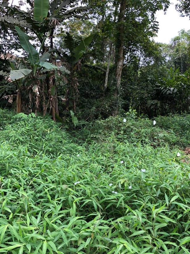 Du lịch Ninh B&igrave;nh nhất định bạn phải đến 5 điểm n&agrave;y - Ảnh 38.
