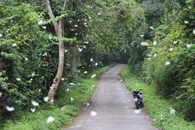 Du lịch Ninh B&igrave;nh nhất định bạn phải đến 5 điểm n&agrave;y - Ảnh 40.