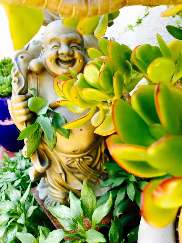 Chốn đi về ngập tr&agrave;n c&acirc;y xanh của diễn vi&ecirc;n h&agrave;i Th&uacute;y Nga - Ảnh 12.