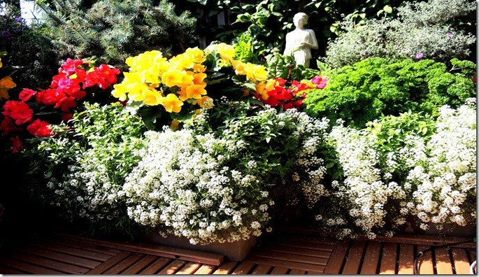 M&ecirc; mẩn những ban c&ocirc;ng đầy hoa dại tuyệt đẹp - Ảnh 2.