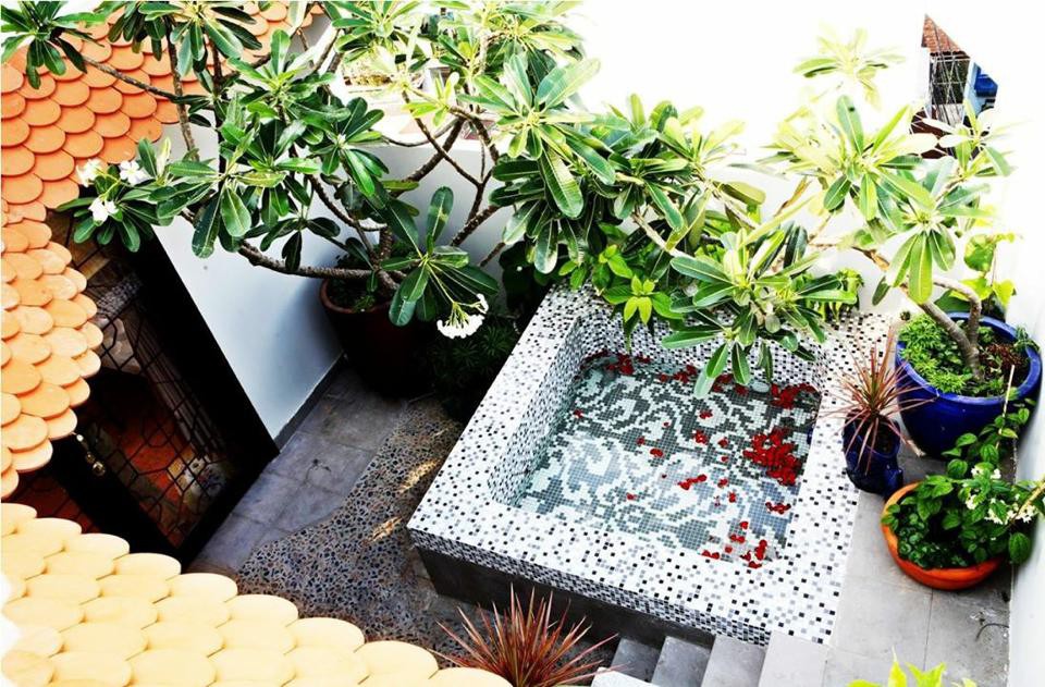 Chốn đi về ngập tr&agrave;n c&acirc;y xanh của diễn vi&ecirc;n h&agrave;i Th&uacute;y Nga - Ảnh 6.