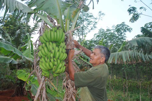 Mong ai cũng giàu!