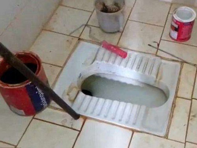 Phát hiện kinh hoàng trong bồn cầu nhà vệ sinh