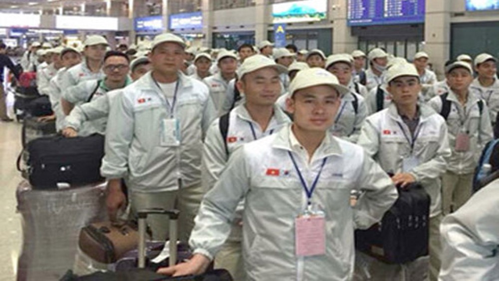232 ứng vi&ecirc;n tham gia thi tuyển chương tr&igrave;nh IM Japan  - Ảnh 2.