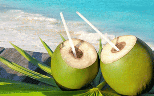 Uống nước dừa: Không phải ai cũng uống được đâu nha - Ảnh 4.