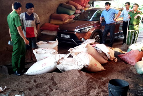 Cà phê nhuộm pin là cá biệt, không nên quay lưng với cà phê Việt