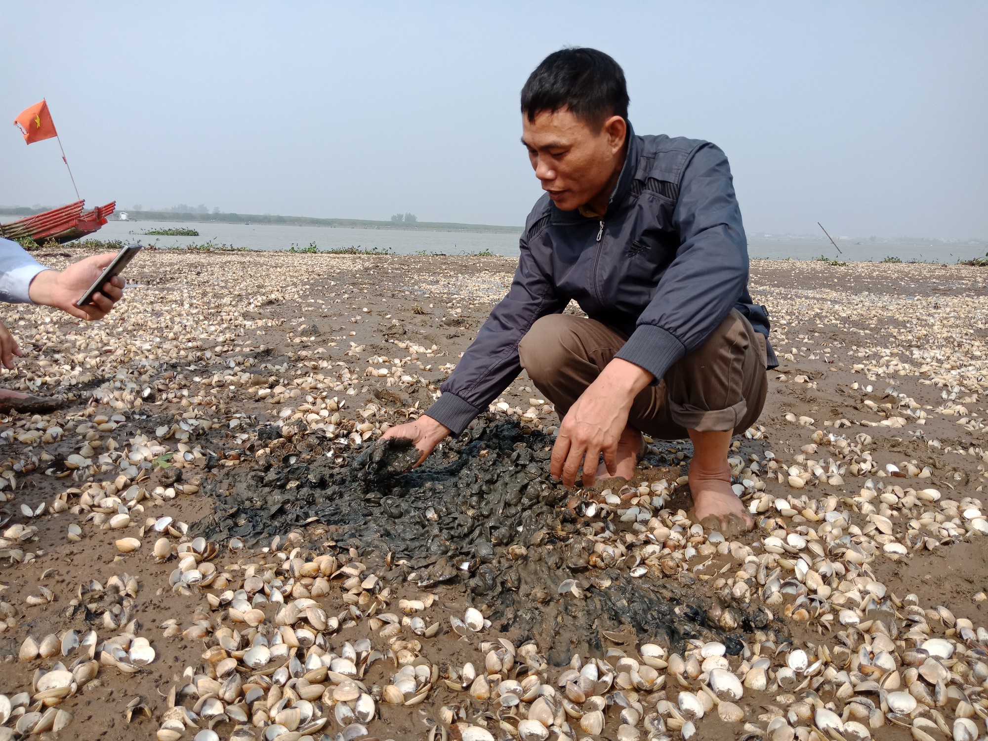Dân điêu đứng vì hơn 90 tấn ngao chết bất thường - Ảnh 2.