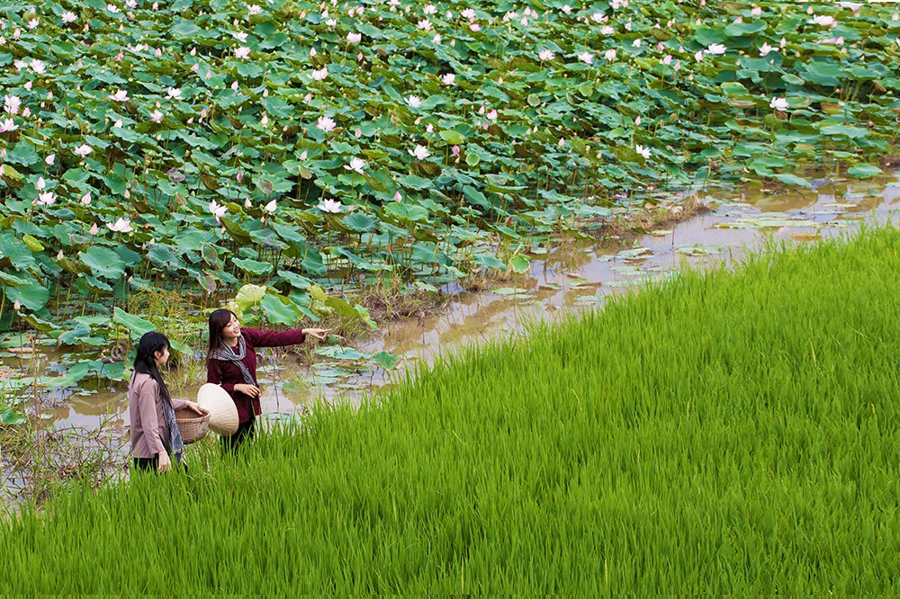 Giới thiệu sản phẩm đặc trưng Đồng Tháp đến với người dân thành phố - Ảnh 1.