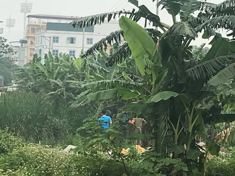 Sát hại sinh viên, phi tang ngoài bãi rác rồi trốn vào miền Nam