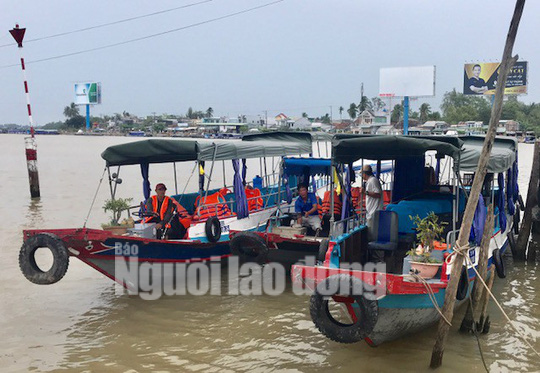 "Cò" tàu du lịch lộng hành tại Cần Thơ do không quản lý được