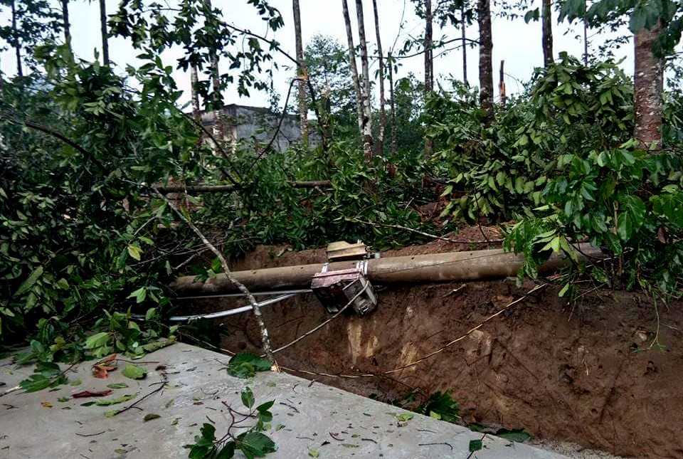 Tiếc đứt ruột nh&igrave;n cảnh thủ phủ sầu ri&ecirc;ng L&acirc;m Đồng tan hoang v&igrave; lốc xo&aacute;y - Ảnh 6.