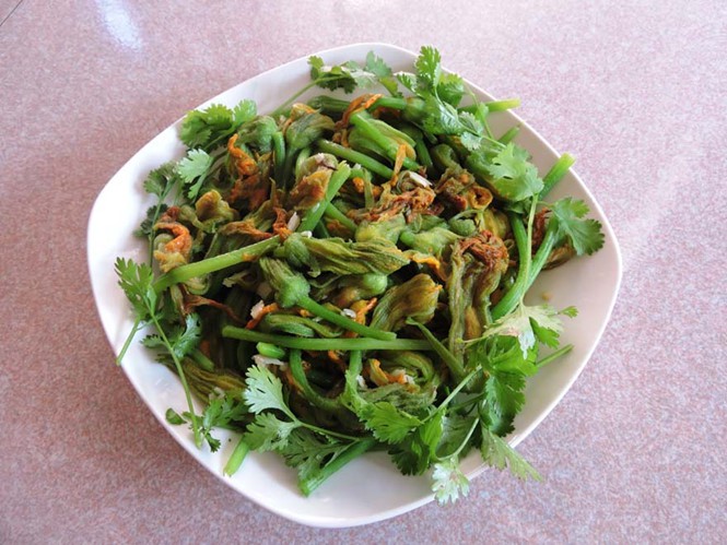 Xốn xang mùa bông bí nở