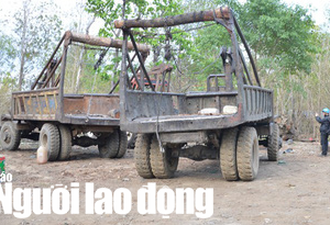 Bộ đội Biên phòng lên tiếng vụ Bộ Công an bắt trùm gỗ lậu