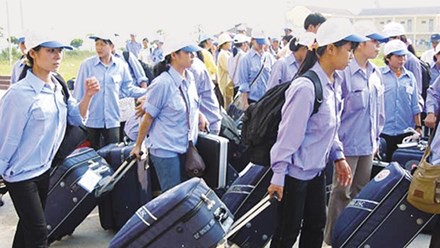 Minh bạch trong tuyển dụng lao động xuất khẩu - Ảnh 1.
