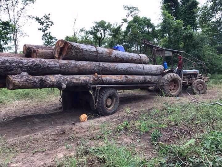 Ăn của đời con, cháu