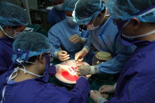 Ghép tạng Việt Nam: Giành lại sự sống cho nhiều người