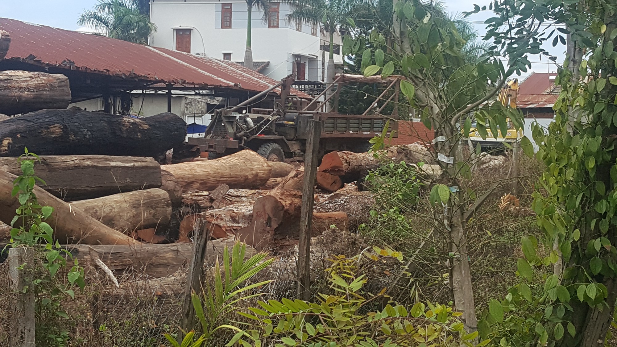 Bắt khẩn cấp hạt trưởng kiểm lâm tiếp tay, nhận tiền trùm gỗ lậu Phượng "râu"