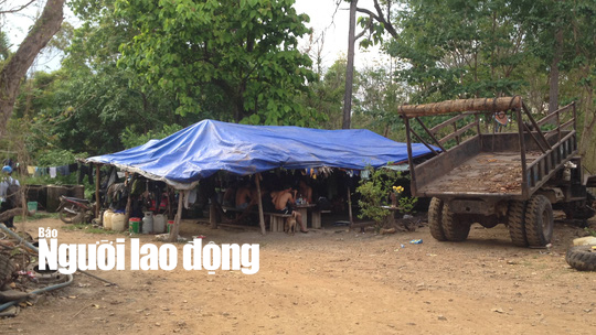 Trùm gỗ lậu Phượng râu: Từ người làm thuê thành đại gia khét tiếng - Ảnh 2.