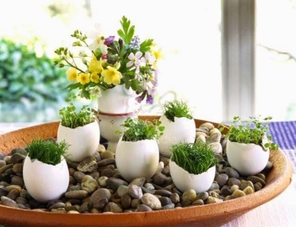 &Yacute; tưởng độc đ&aacute;o: Trồng c&acirc;y trong vỏ trứng - Ảnh 12.