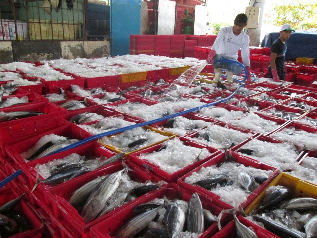 Nỗ lực gỡ thẻ v&agrave;ng cho thủy sản - Ảnh 1.
