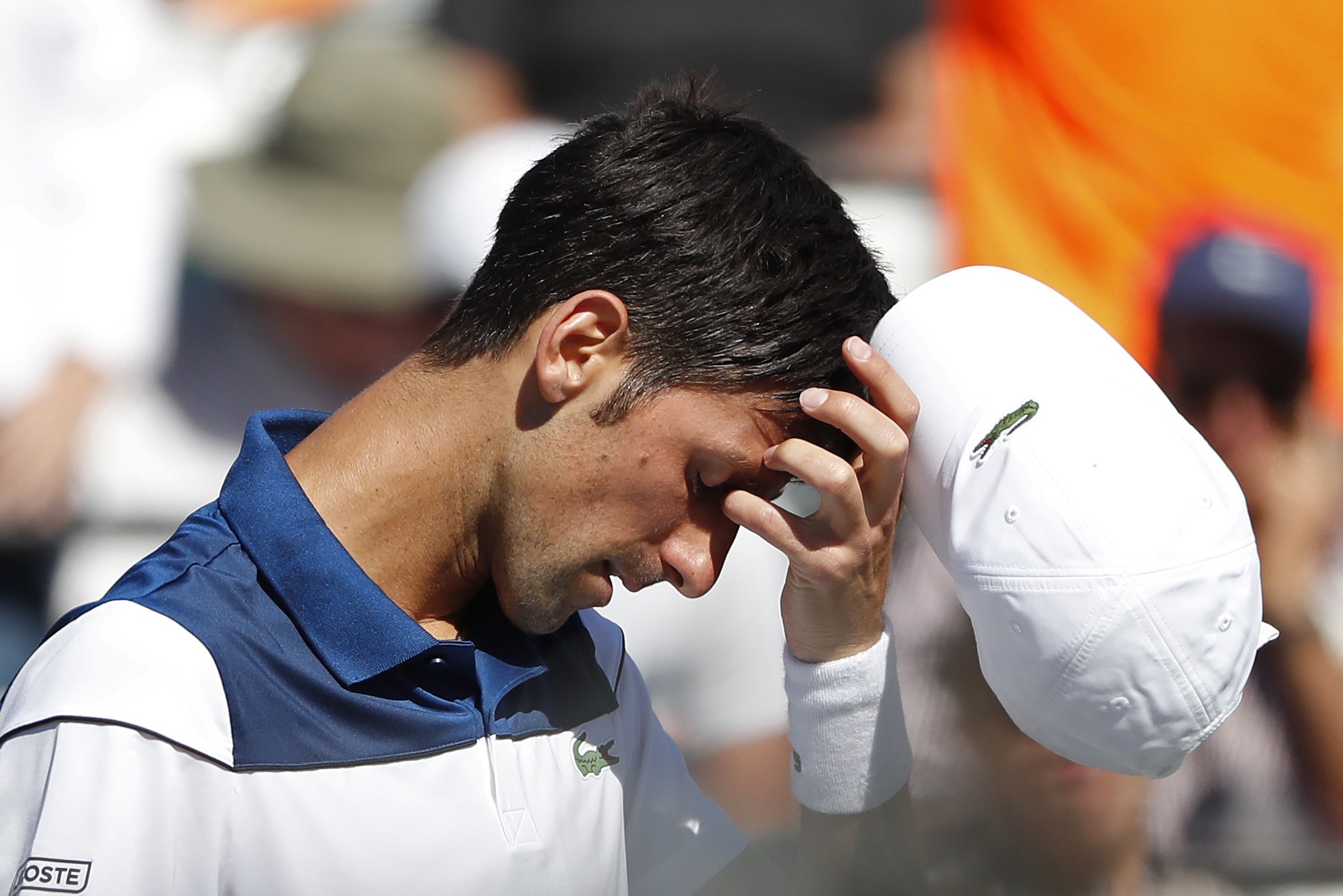 Djokovic sa thải Stepanek chỉ một tuần sau khi chia tay HLV Agassi