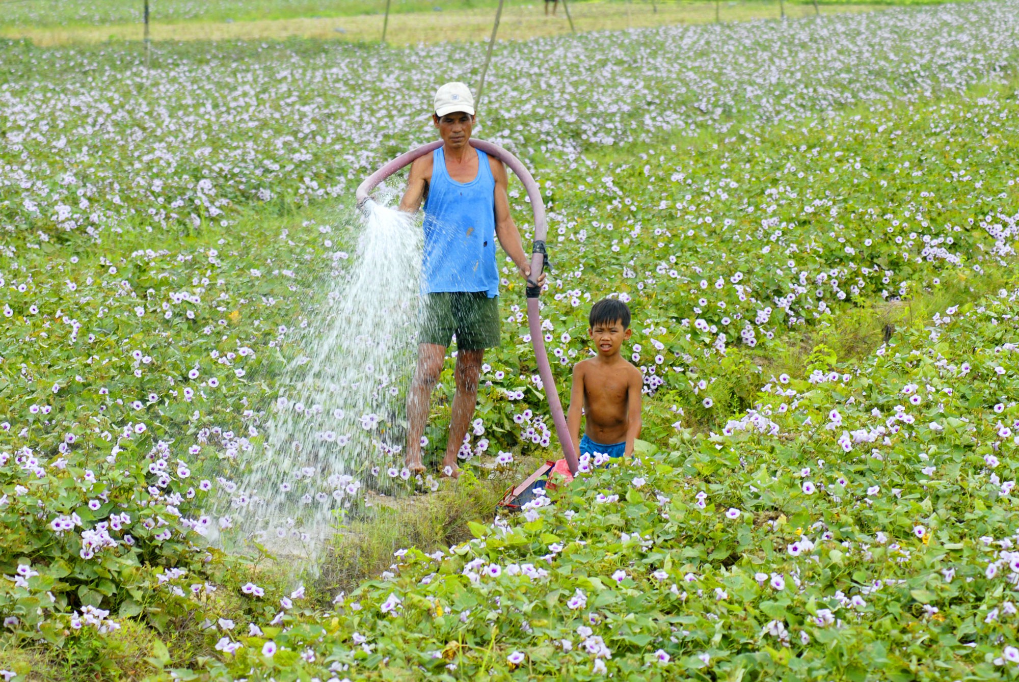 Hợp tác Mekong, dè chừng "ông lớn"