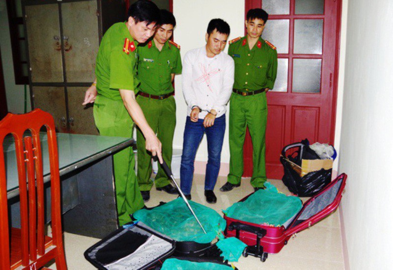 Cặp vợ chồng giấu 130 kg rắn hổ mang ch&uacute;a trong va li k&eacute;o, ba l&ocirc; - Ảnh 1.