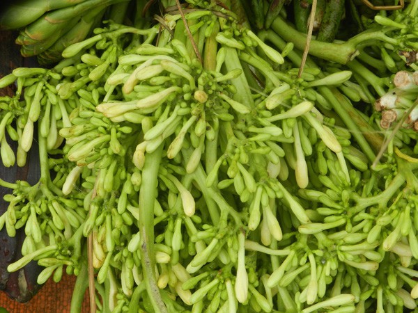 Những món rau rừng Tây Bắc “đỉnh nhất, ăn là nghiền - Ảnh 1.