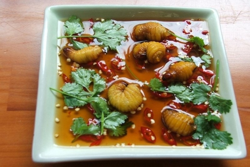 Đu&ocirc;ng ch&agrave; l&agrave; - đặc sản C&agrave; Mau nhiều người chết khiếp - Ảnh 3.
